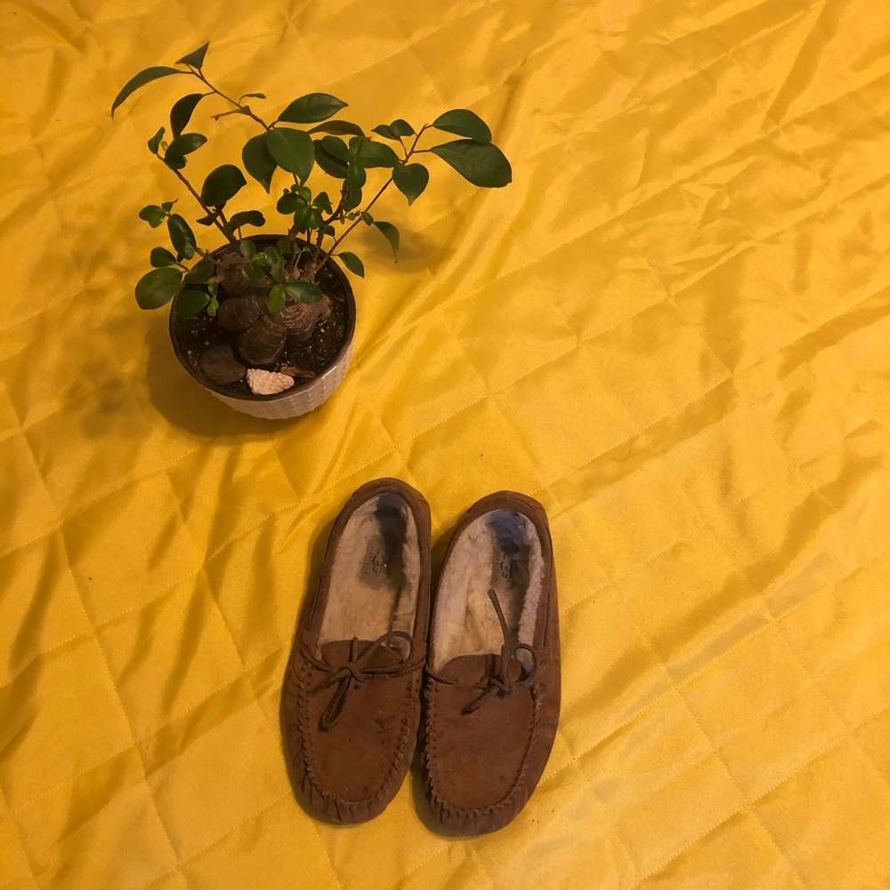 Ugg moccasins
